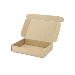 Maxibrief Karton 200x152x40mm